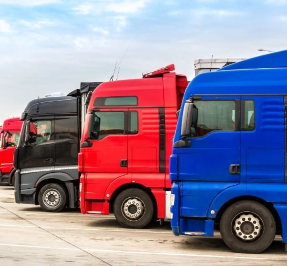 Ankara Bingöl Ambar